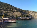 IMAG0836