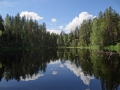 DSC03900_800x600