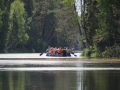 DSC03903_800x600