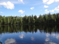 DSC03906_800x600