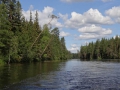DSC03928_800x600