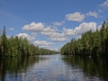 DSC03942_800x600