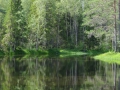 DSC03959_800x600