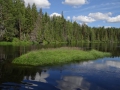 DSC03962_800x600