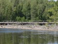 DSC03975_800x600