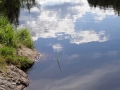 DSC03980_800x600
