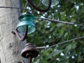 DSC03999_800x600