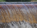 DSC04043_800x600