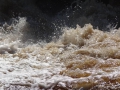 DSC04051_800x600
