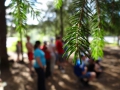 DSC04105_800x600