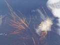 DSC04162_800x600