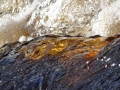 DSC04227_800x600