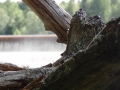 DSC04234_800x600