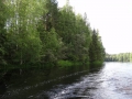 DSC04240_800x600