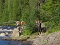 DSC04264_800x600