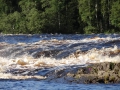 DSC04269_800x600