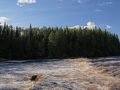 DSC04290_800x600