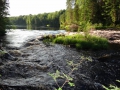 DSC04308_800x600