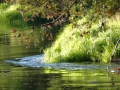 DSC04318_800x600