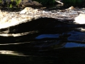 DSC04325_800x600