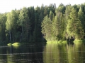 DSC04339_800x600