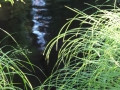 DSC04343_800x600