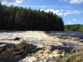 IMG_0301_800x600