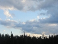 IMG_7846_800x600