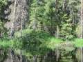 IMG_7989_800x600
