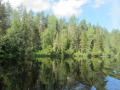 IMG_8001_800x600