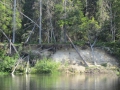 IMG_8008_800x600