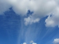 IMG_8012_800x600