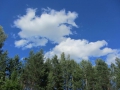 IMG_8197_800x600
