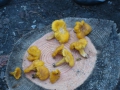 photo-12_800x600